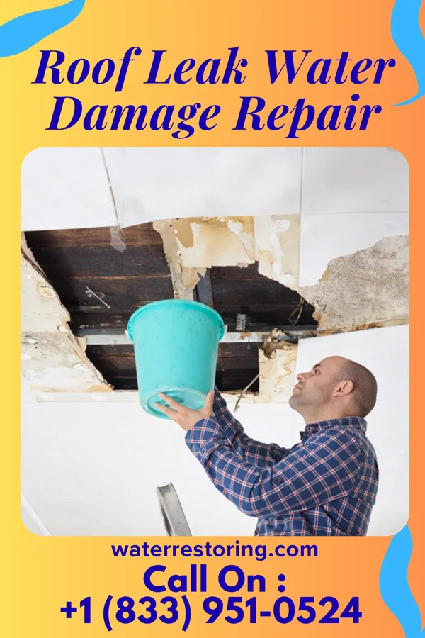 Roof Leak Water Damage Repair in Golden Valley, NV